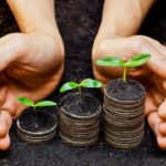 Seguros agrícolas ¿qué incluyen?